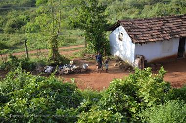 Nilgiri-Blue-Mountain-Train, Mettupalayam - Coonoor_DSC5368_H600